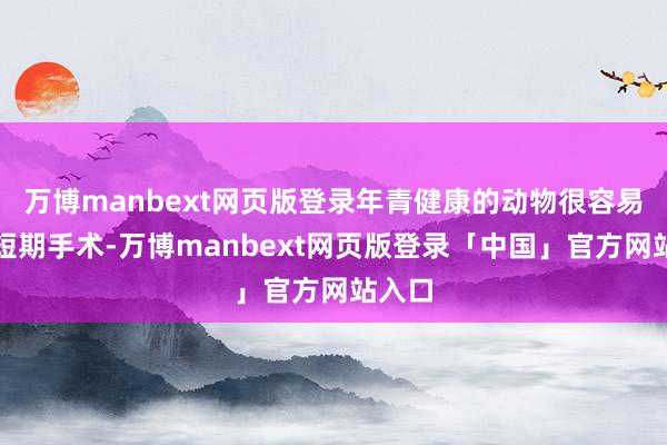 万博manbext网页版登录年青健康的动物很容易秉承短期手术-万博manbext网页版登录「中国」官方网站入口